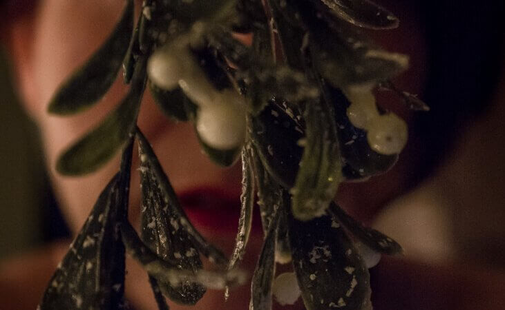 image prompt for Masturbation Monday week 222 is Molly Moore's image called Mistletoe